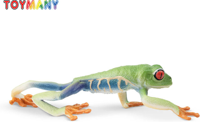 Toymany Red-eyed Baum Frosch, Action Figuren, Tiere, Grün, Kunststoff - Bild 1