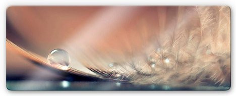 K&L Wall Art Glasbild Fotografie Feder Wassertropfen Multicolor B: 80 cm, H: 30 cm