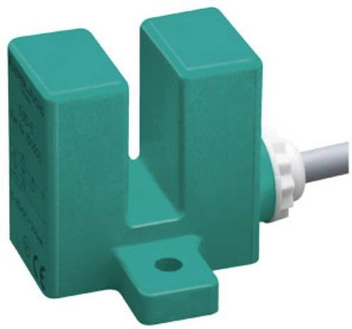 Pepperl+Fuchs Induktiver Sensor SJ10-N-5M 12xG1xxD 70132971 NAMUR in Grün - Bild 1