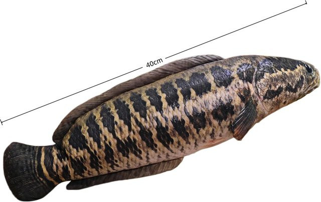 Yiran Health & Beauty Lustige Fisch Plüschtiere, Meerestiere, Bunt / Mehrfarbig - Bild 1