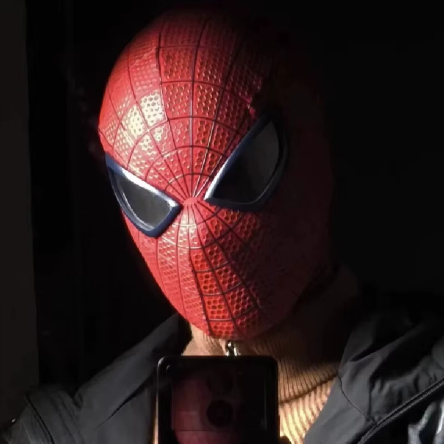 HEROCROSS Marvel Magnetische Linsenmaske für den Amazing Spider-Man, Garfield-Stil, Spandex-Kopfmaske, Cosplay-Requisite, ab 14 Jahre - Bild 2