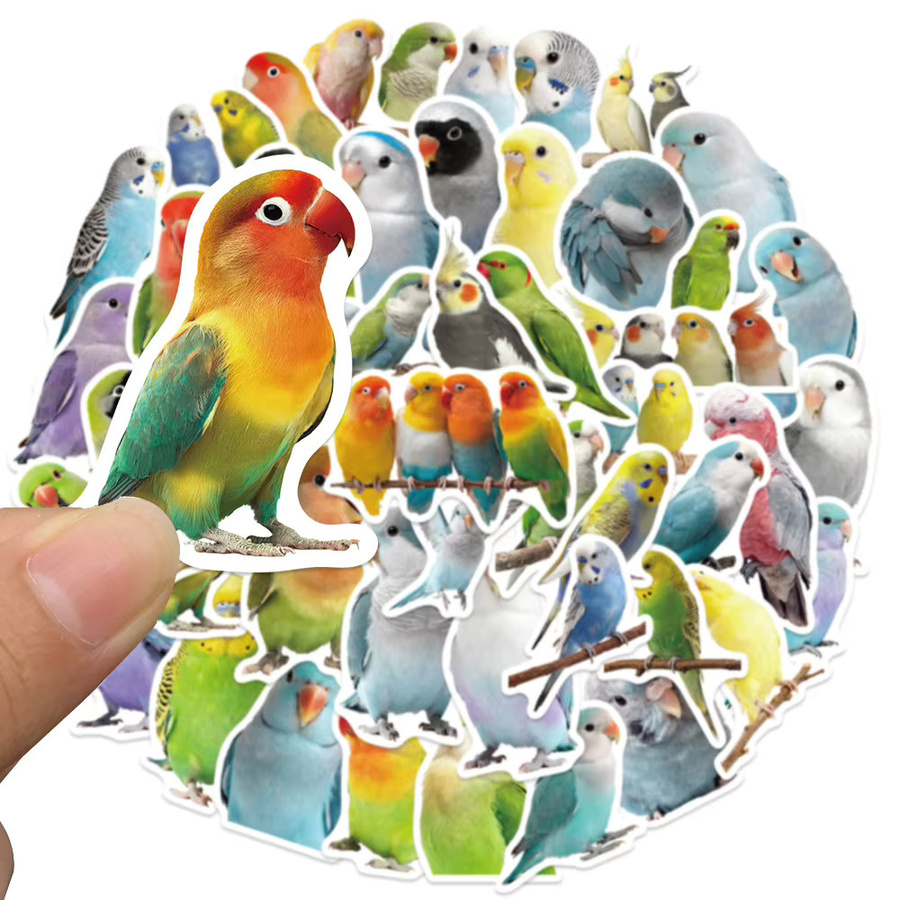 50 Stück selbstklebende Papageien-Aufkleber mit bunten Vogel-Illustrationen für Schreibtisch und Briefpapier - Bild 3