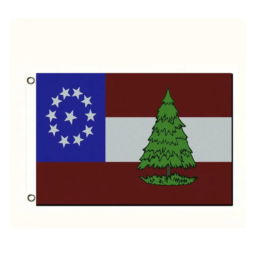 Appeal to Heaven Flag Vintage USA Koloniales Banner mit Kieferndesign aus Polyester für Outdoor-Dekoration und Wandkunst B: 60 cm, H: 90 cm - Bild 2