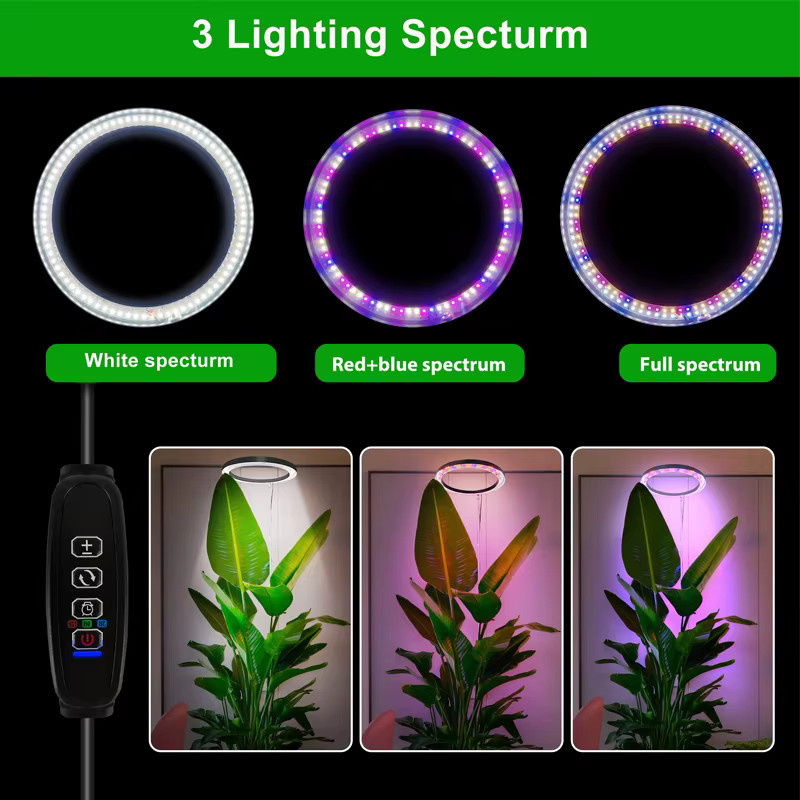 Aesyzo LED Ring Grow Light mit Vollspektrum und höhenverstellbarer Wachstumslampe für Zimmerpflanzen, 25,4 cm - Bild 2