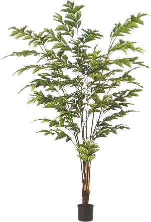 Künstliche Fischschwanzpalme Nayla von Aplanta, Grün, Höhe: 195 cm - Bild 1