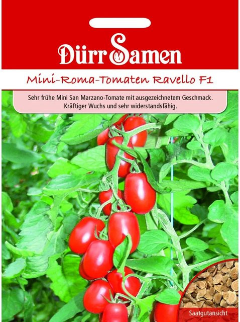 Dürr Roma-Tomaten Ravello F1 Saatgut - Bild 1