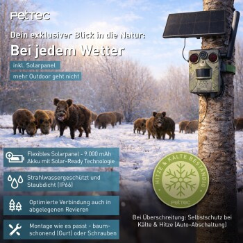 PetTec Pet Cam Trail 4G Action Camera mit Solar Panel und Cellular-Funktion - Bild 3