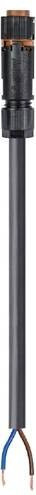 Wieland Electric Anschlussleitung Schwarz 46.422.9937.4 - Bild 1