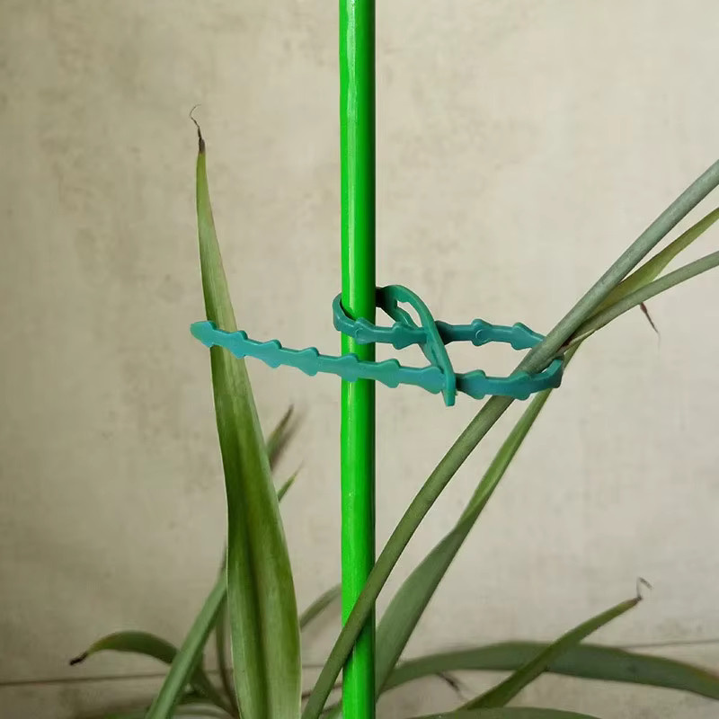 Wiederverwendbare Gartenkabelbinder aus Kunststoff in Grün zur Pflanzenstütze und für Sträucher, 25 Stück - Bild 3