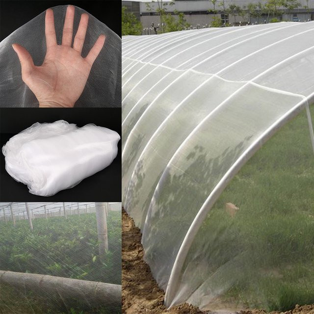 Transparentes Insektenschutznetz für Garten und Gewächshaus zur Schädlingsbekämpfung von Gemüse, Obst und Blumen - Bild 1