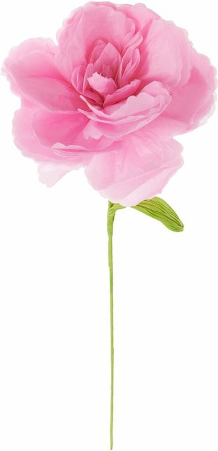 Rico Design Papierblume Paeonie in Pink - Bild 1