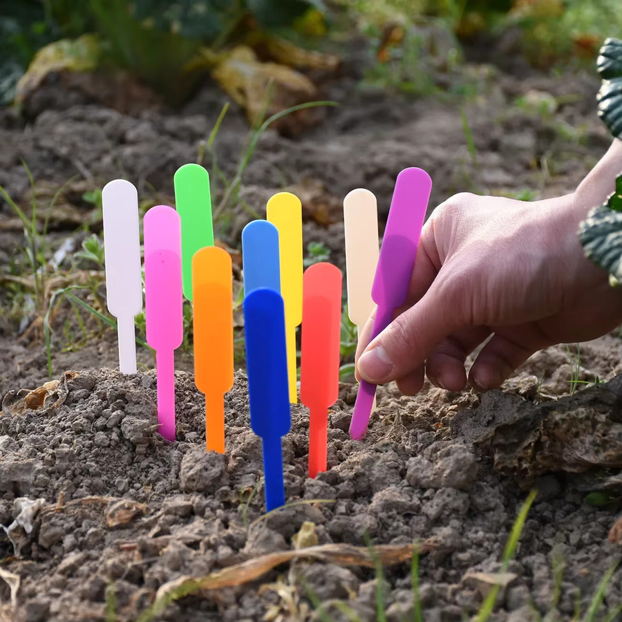 50 Stück wasserdichte Gartenpflanzen-Marker aus Kunststoff in Lila und Mehrfarbig für Topf, Sämling und Bonsai - Bild 2