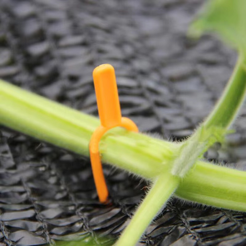 50 Stück Kunststoff Pflanzenkletter-Clips in Orange zur Unterstützung von Blumen, Erdbeeren und Tomaten im Garten - Bild 4