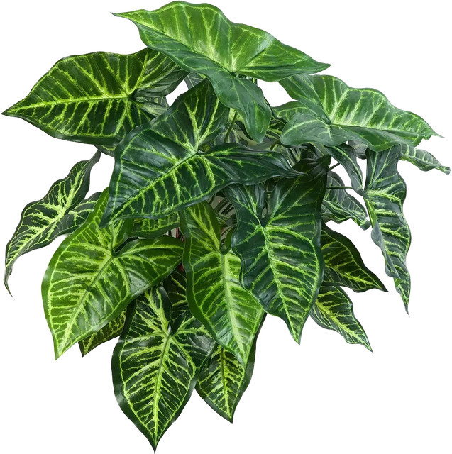 Künstliche Syngonium Pflanze Aplanta Kalle, Höhe: 45 cm - Bild 1