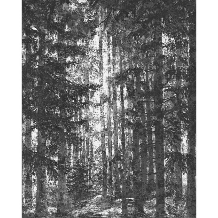 Komar Fototapete Lustres Lapland aus Qualitätsvlies in Schwarz-weiß, Breite: 200 cm, Höhe: 250 cm - Bild 2