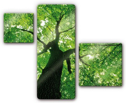 K&L Wall Art Glasbild-Set Baum des Lebens Wanddeko in Multicolour und Grün, B/H: 100 x 120 cm - Bild 1