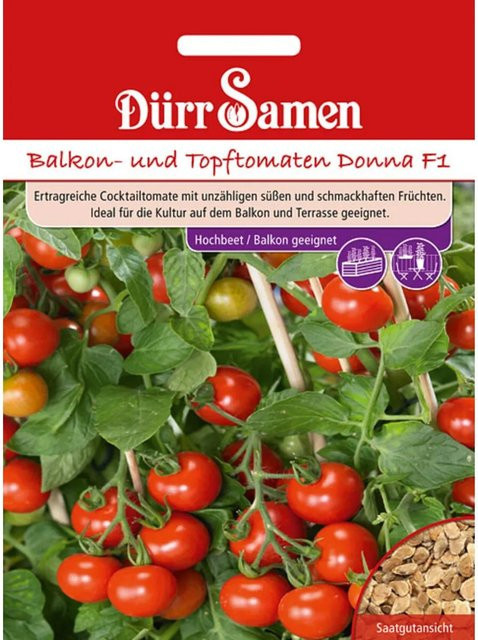 Dürr Balkontomaten Donna F1 Saatgut für Balkon, Terrasse und Freiland - Bild 1