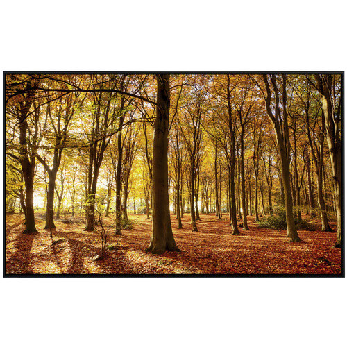 papermoon Infrarotheizung EcoHeat Herbstwald mit Matt-Effekt in Bunt, App-Steuerung und Überhitzungsschutz - Bild 2