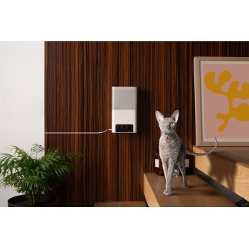 Petcube Camera Bites 2 Light Interaktive Haustierkamera in Weiß - Bild 3
