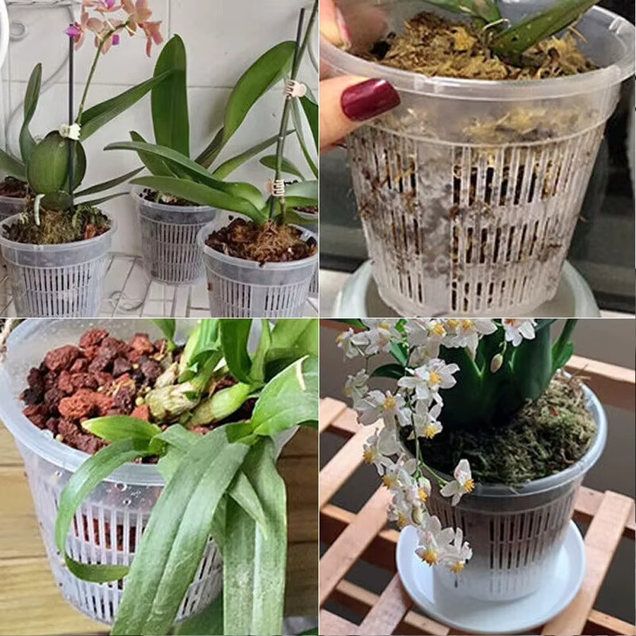 LEENKEA 5er Set Orchideen-Meshpot aus transparentem Kunststoff mit Untertassen zur Wurzelkontrolle - Bild 5