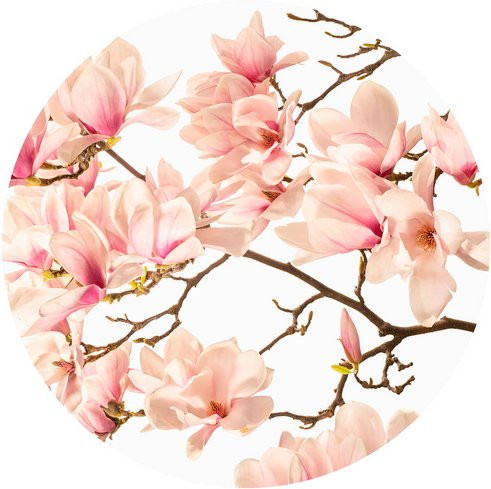 K&L Wall Art Vliestapete Kadam Rosa Knospen Magnolia, runde Wandgestaltung in Pink und Mehrfarbig, matt - Bild 1