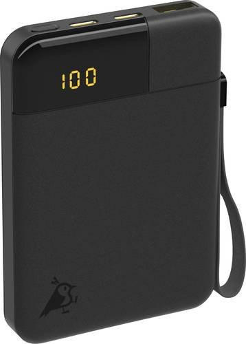 Aqiila Powerbird B5B Powerbank 5000 mAh mit USB-A und USB-C in Schwarz - Bild 1
