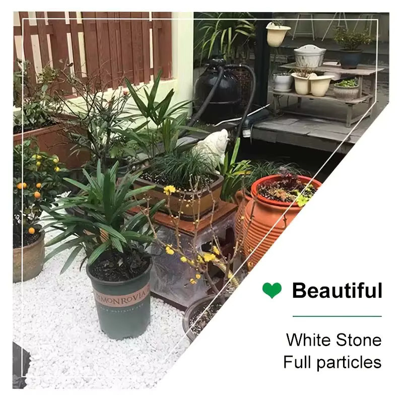 Weiße natürliche Flusskiesel für die Garten-Landschaftsgestaltung und Dekoration von Pflanzen, Sukkulenten und Kakteen, 200 g - Bild 2