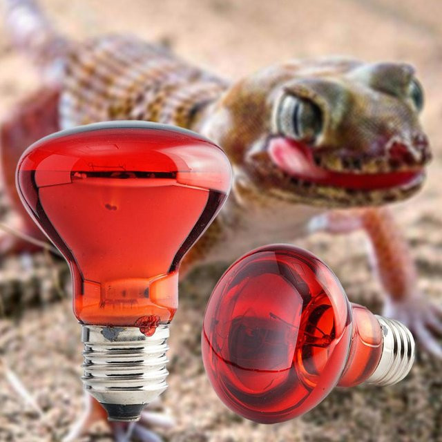 Infrarot-Heizlampe E27 für Reptilien, Pflanzen und Geflügel, 25W-100W, Rot - Bild 1