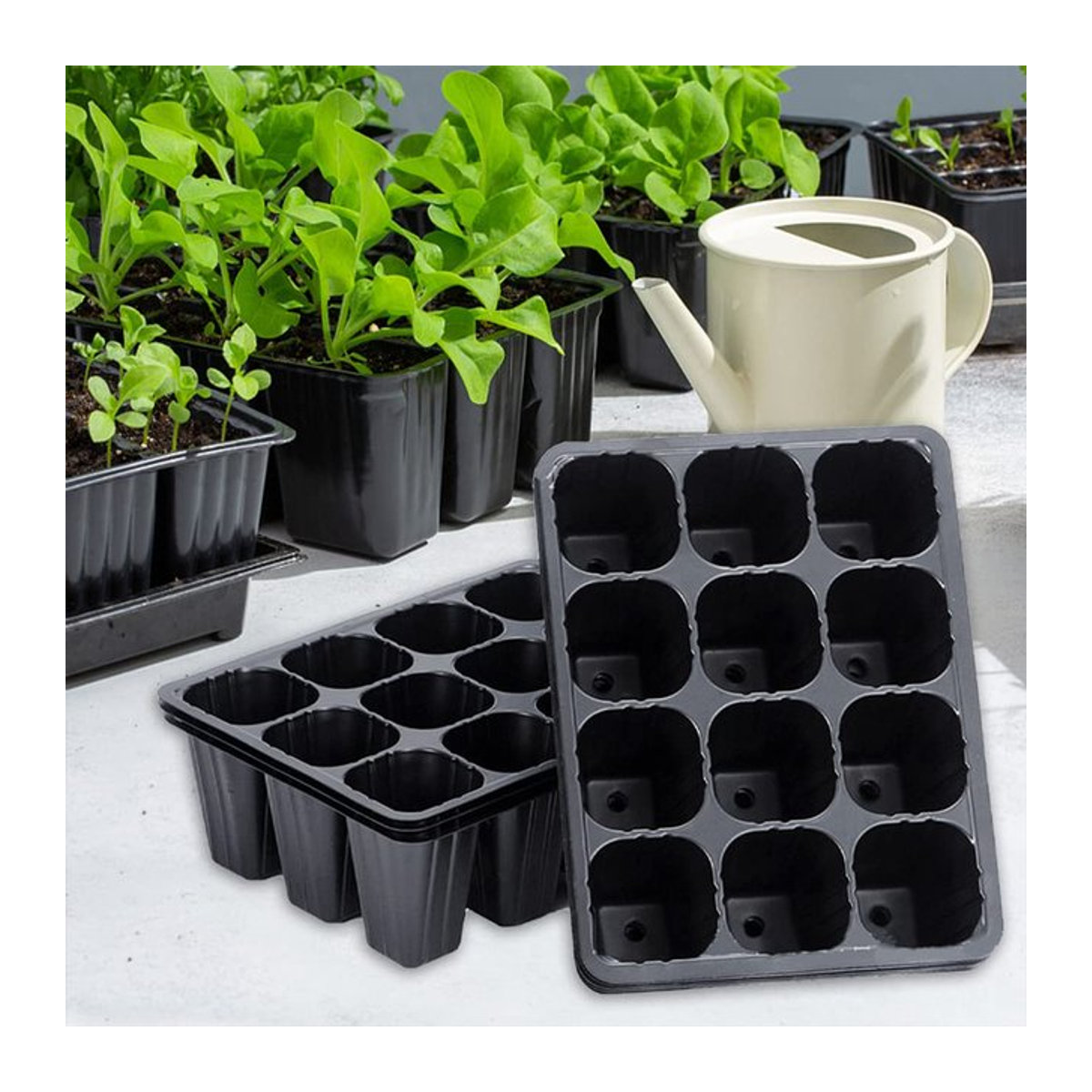 10/20 Stück Anzuchttöpfe für Gemüse und Setzlinge, robuste Pflanzschalen zur Keimung von Pflanzen und Blumen - Bild 1