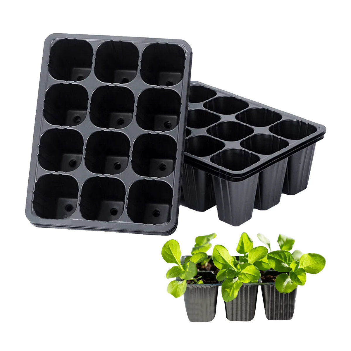 10/20 Stück Anzuchttöpfe für Gemüse und Setzlinge, robuste Pflanzschalen zur Keimung von Pflanzen und Blumen - Bild 2