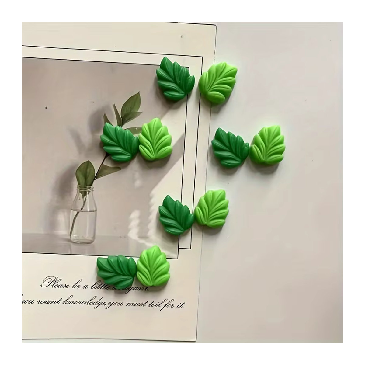 10 Stück Cartoon-Blatt Kühlschrankmagnete in Grün aus Kunststoff für Küche und Büro - Bild 2