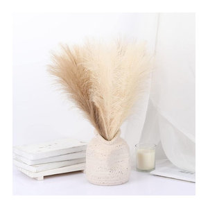 10 Stück künstliches Pampa Gras Uflower in Beige als Boho Bouquet für Hochzeiten und Dekorationen