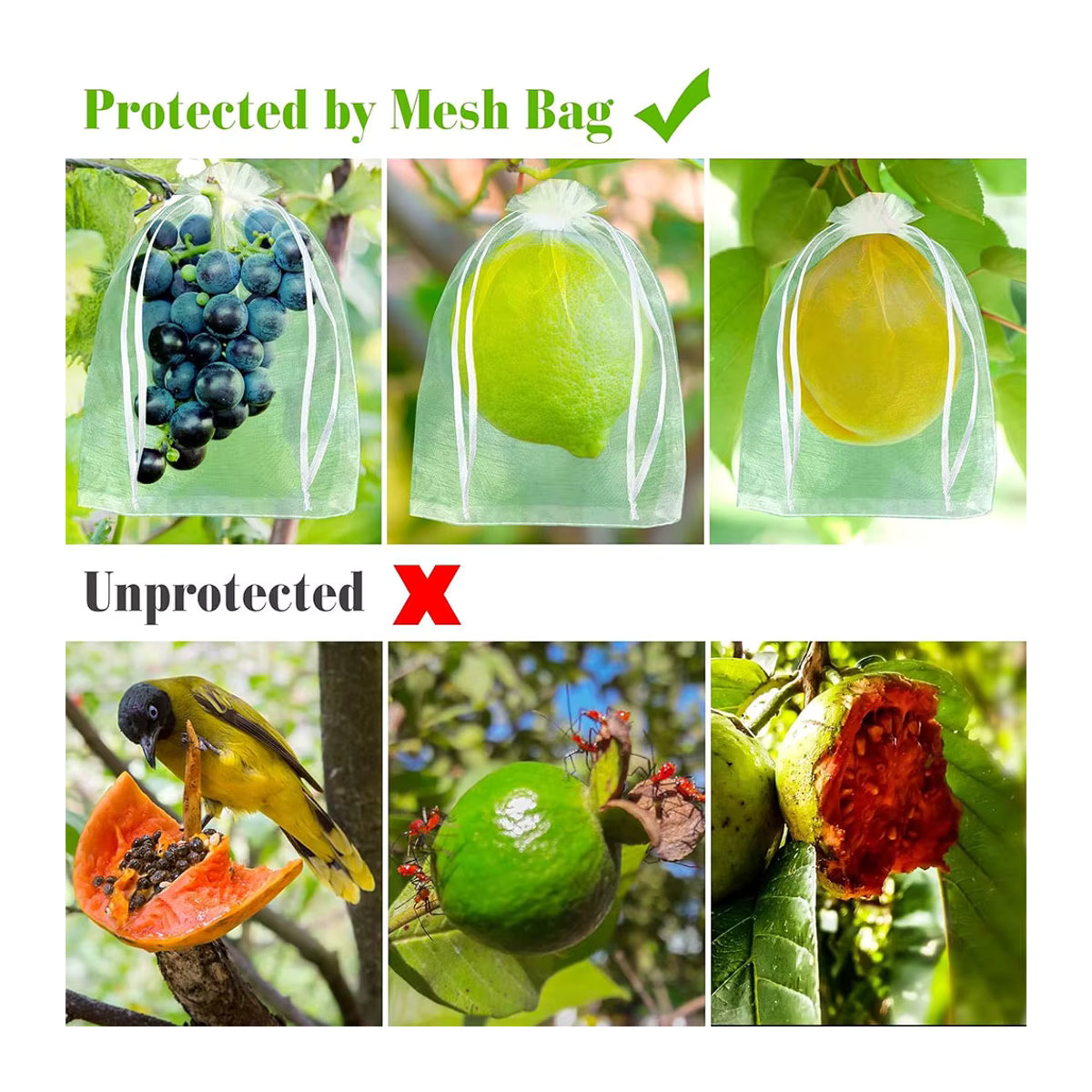 10 Stück Obstschutzbeutel in Weiß für Trauben und Erdbeeren zur Vogelabwehr im Garten - Bild 4