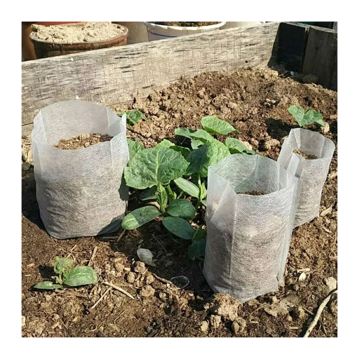 100 Stück biologisch abbaubare Vlies-Pflanzenbeutel in Braun als Stoff-Sämlingstöpfe für den Hausgarten in 5 Größen - Bild 3