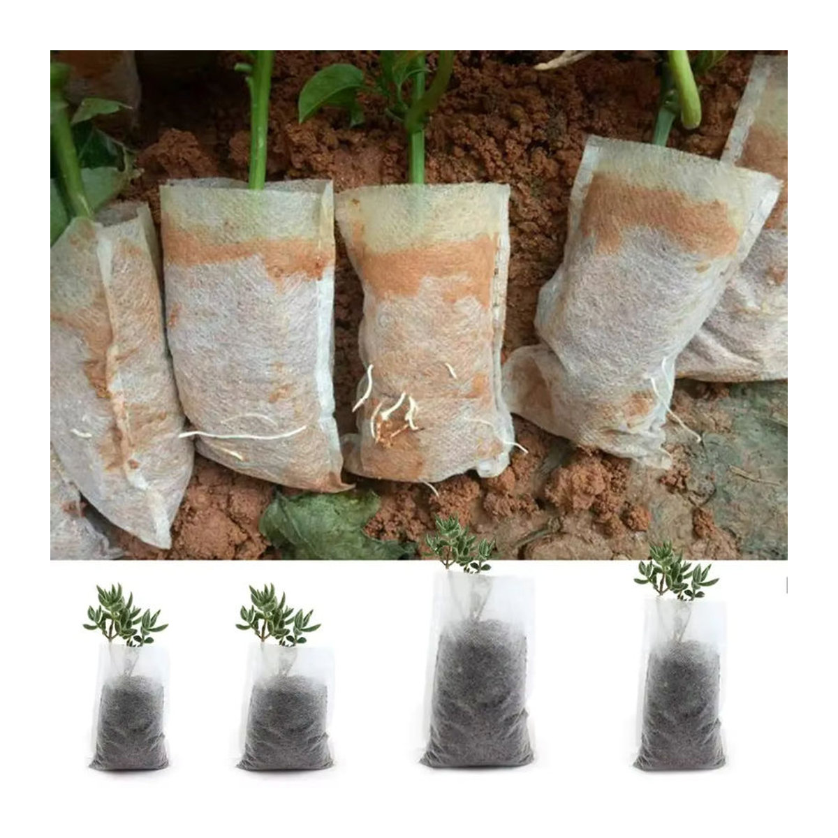 100 Stück biologisch abbaubare Vlies-Pflanzenbeutel in Braun als Stoff-Sämlingstöpfe für den Hausgarten in 5 Größen - Bild 4