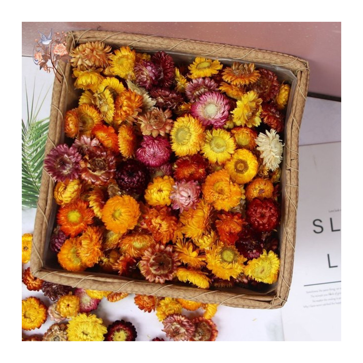 100 Stück getrocknete Gänseblümchen und Chrysanthemen Köpfe in Mehrfarbig für DIY Handwerk und Hochzeitsdekoration von YN HI FLOWER ENJOY YOUR LIFE - Bild 1