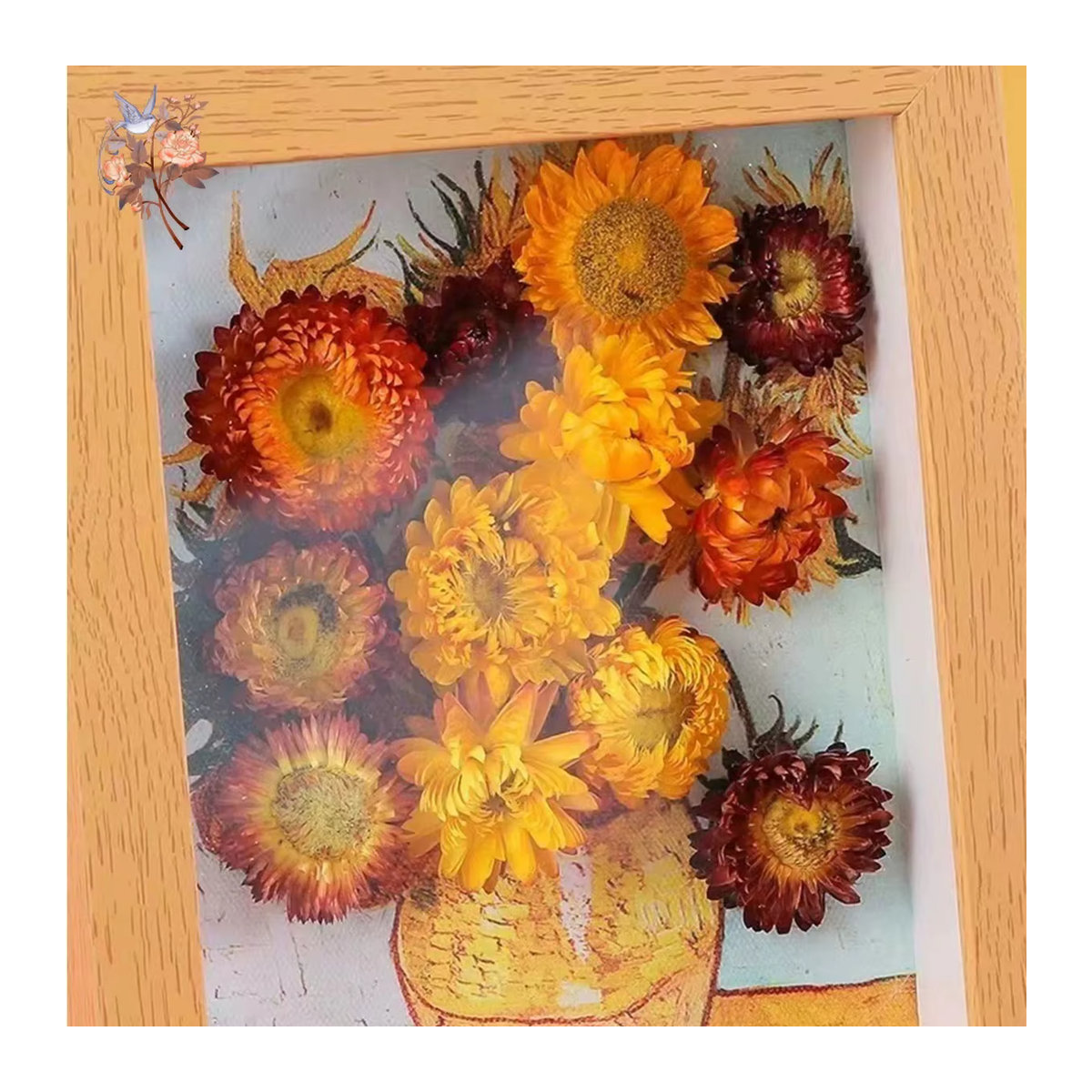 100 Stück getrocknete Gänseblümchen und Chrysanthemen Köpfe in Mehrfarbig für DIY Handwerk und Hochzeitsdekoration von YN HI FLOWER ENJOY YOUR LIFE - Bild 2