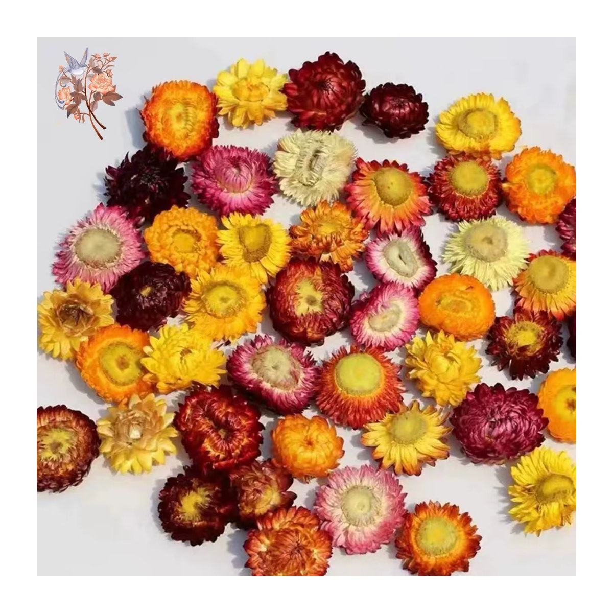 100 Stück getrocknete Gänseblümchen und Chrysanthemen Köpfe in Mehrfarbig für DIY Handwerk und Hochzeitsdekoration von YN HI FLOWER ENJOY YOUR LIFE - Bild 3