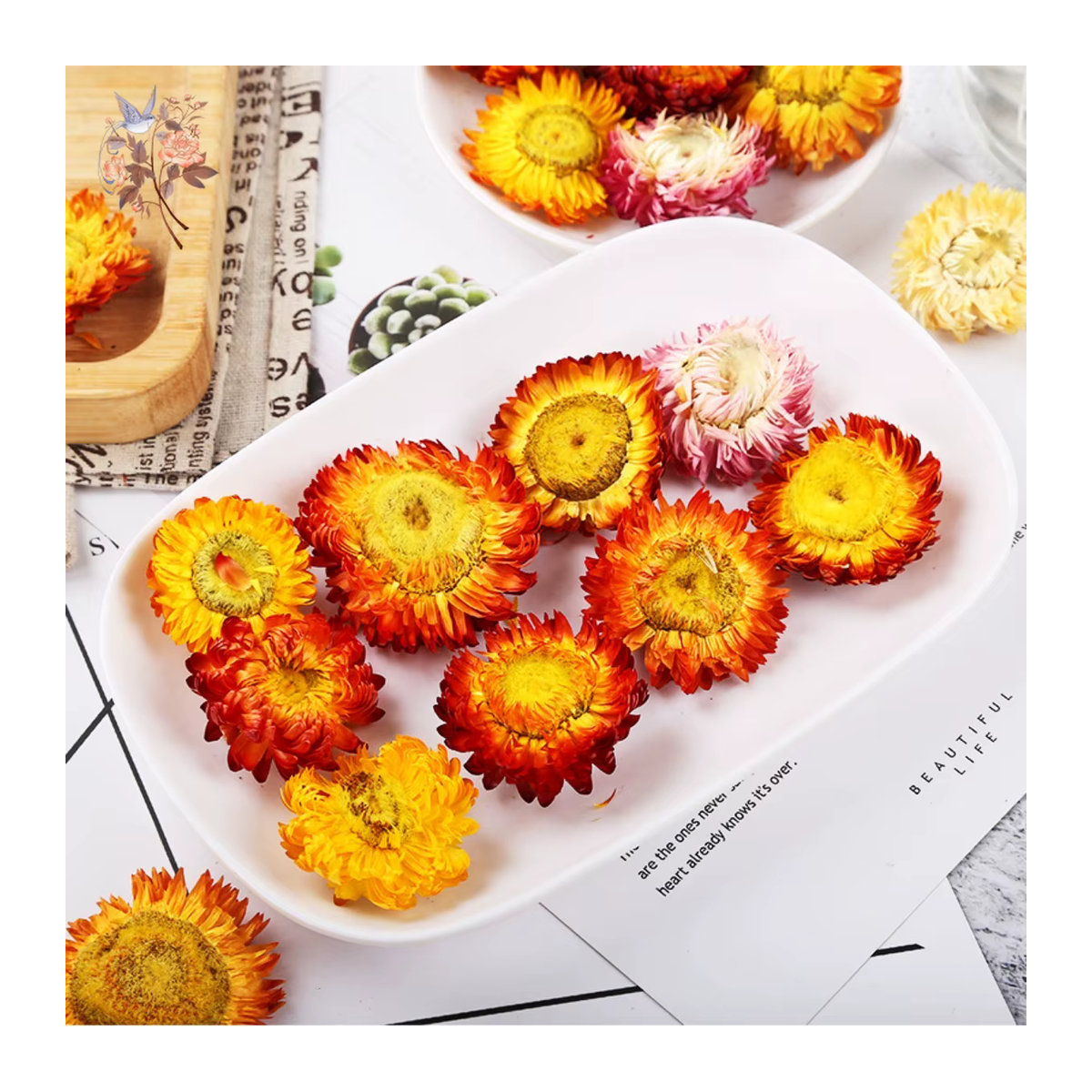 100 Stück getrocknete Gänseblümchen und Chrysanthemen Köpfe in Mehrfarbig für DIY Handwerk und Hochzeitsdekoration von YN HI FLOWER ENJOY YOUR LIFE - Bild 4