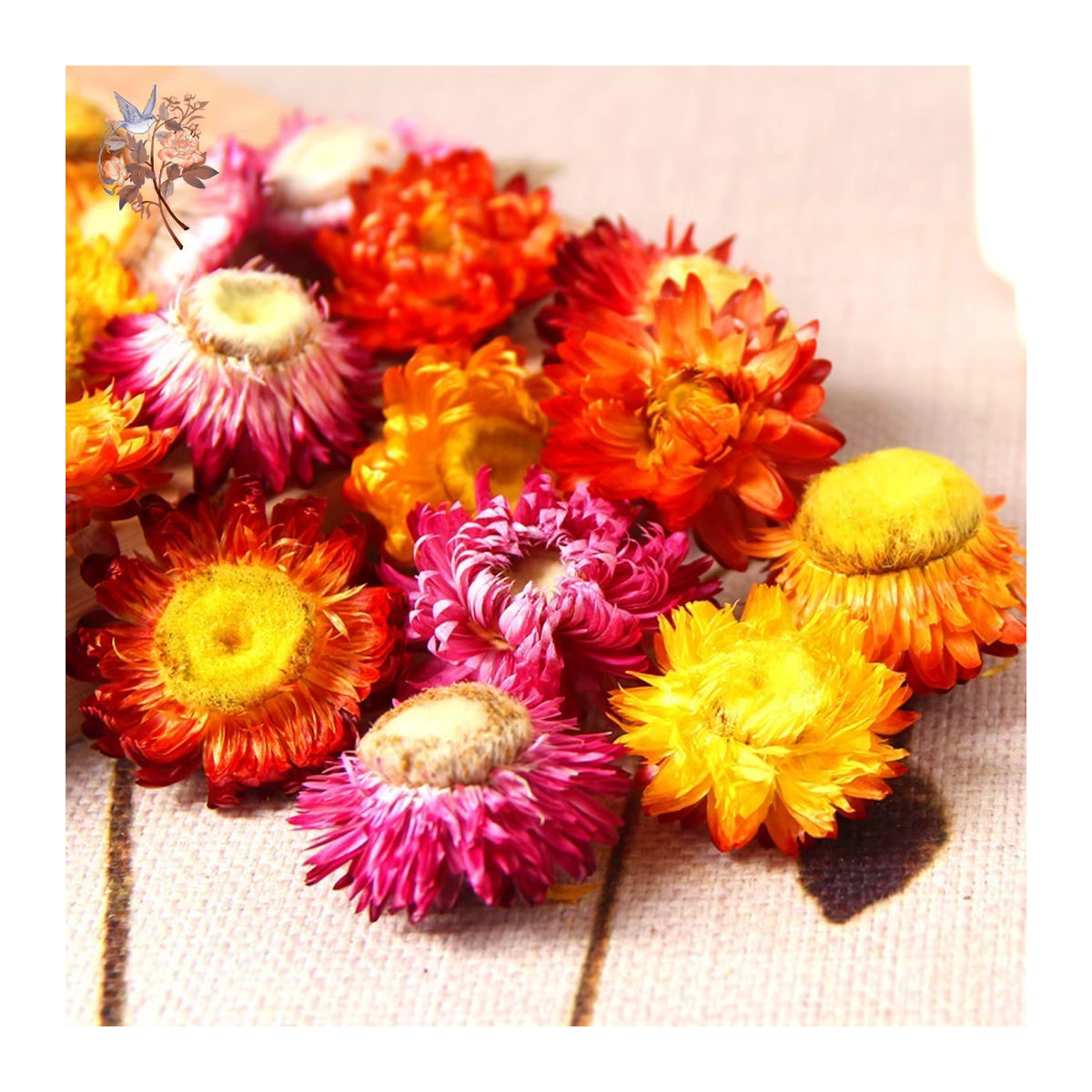 100 Stück getrocknete Gänseblümchen und Chrysanthemen Köpfe in Mehrfarbig für DIY Handwerk und Hochzeitsdekoration von YN HI FLOWER ENJOY YOUR LIFE - Bild 6