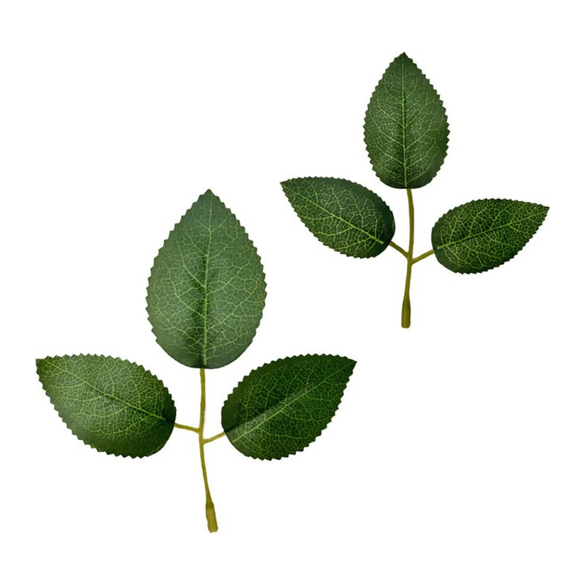 100 Stück Künstliche Grüne Rosenblätter von DUTRIEUX für Hochzeitssträuße und DIY-Blumendekoration - Bild 1