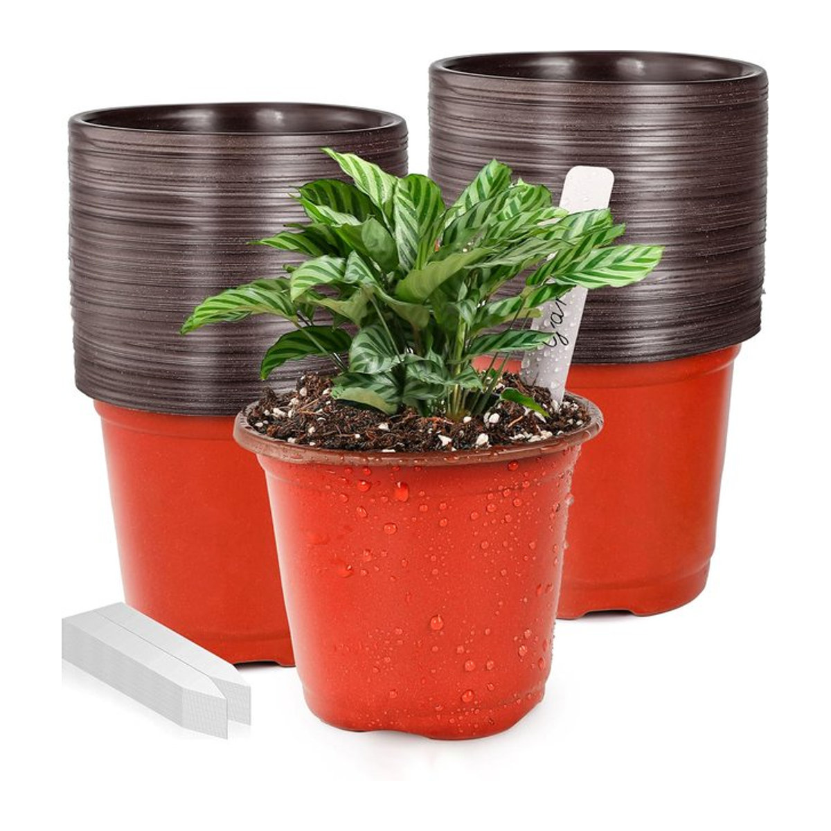 100 Stück Kunststoff-Blumentöpfe mit Tablett für Garten und Pflanzen, Durchmesser: 10,2 cm - Bild 1