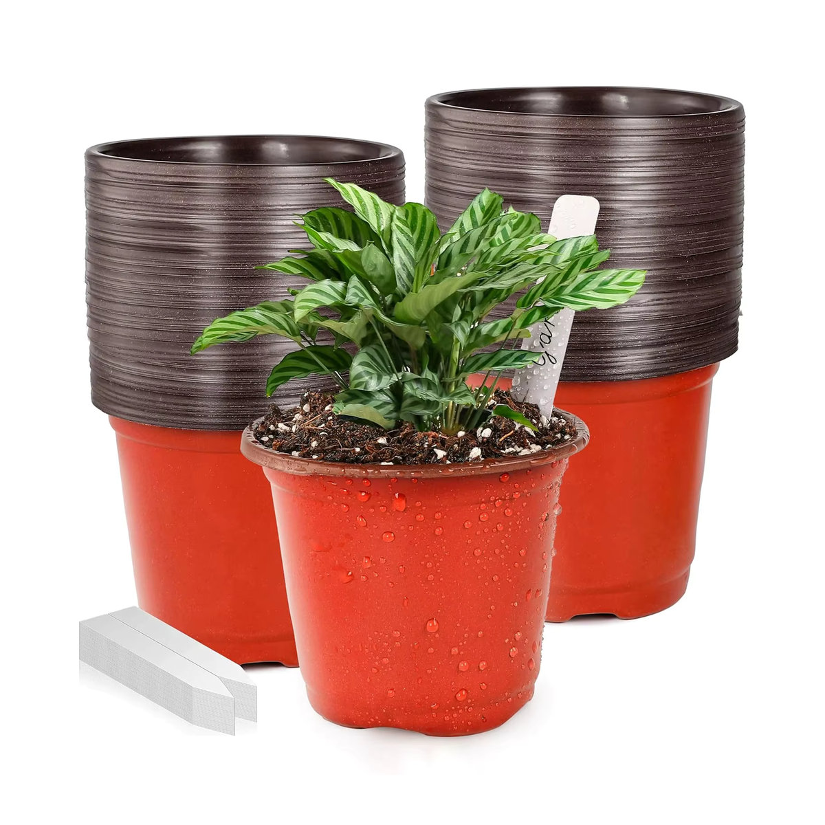 100 Stück Kunststoff-Blumentöpfe mit Tablett für Garten und Pflanzen, Durchmesser: 10,2 cm - Bild 7