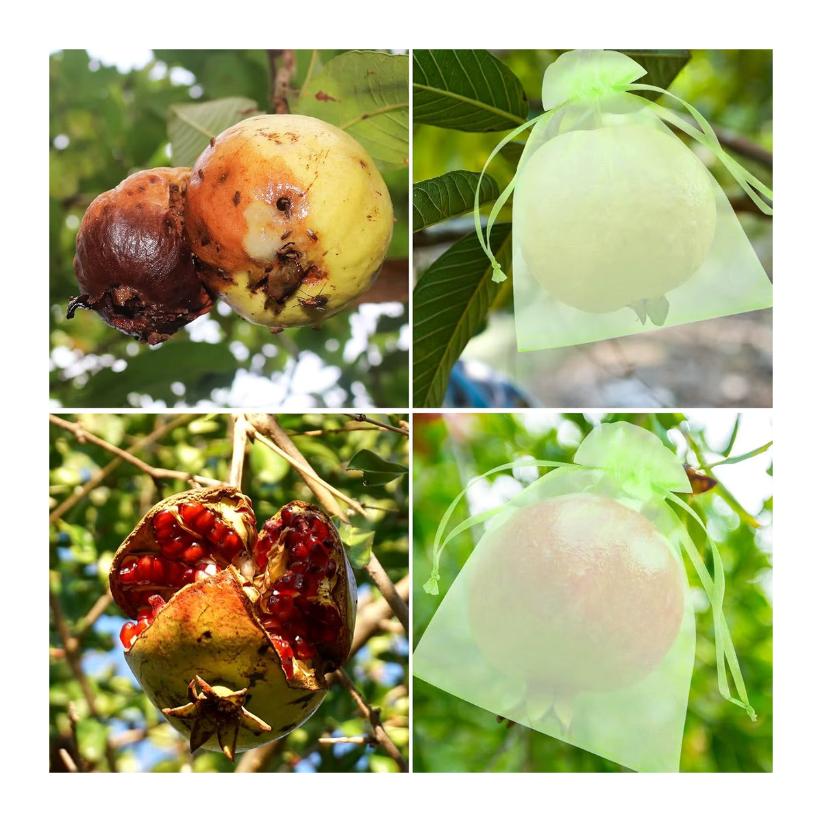 100 Stück Obstschutznetz Beutel zur Schädlingsbekämpfung als Anti-Vogel-Netz für Erdbeeren und Gemüse zur Gartenabdeckung - Bild 4