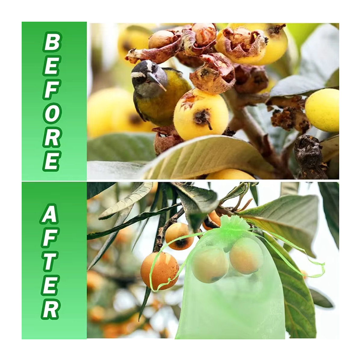 100 Stück Obstschutztaschen in Grün mit Kordelzug zum Schutz vor Insekten, Vögeln und Eichhörnchen für deinen Garten - Bild 4