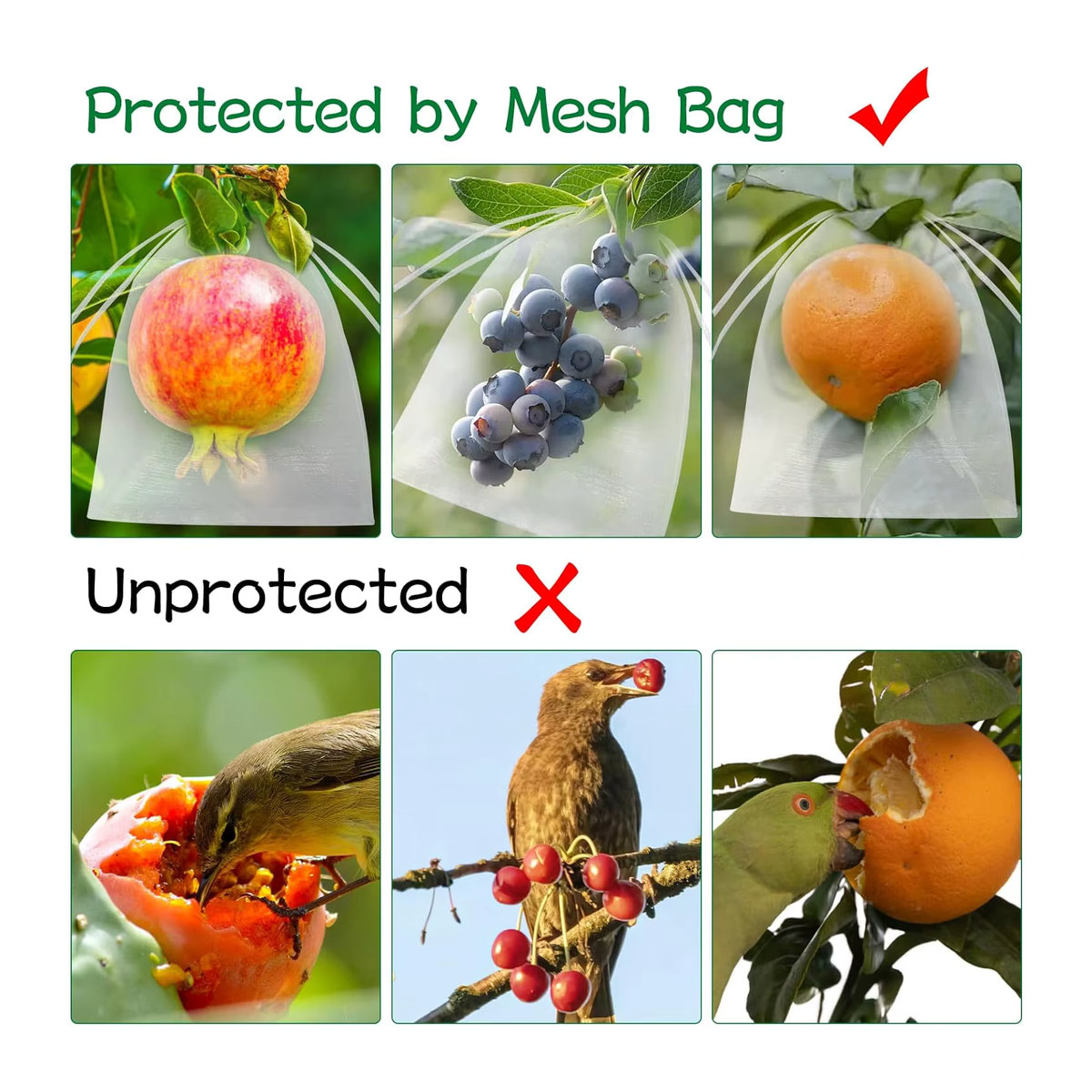 100 Stück Obstschutztaschen in Grün mit Kordelzug zum Schutz vor Insekten, Vögeln und Eichhörnchen für deinen Garten - Bild 5