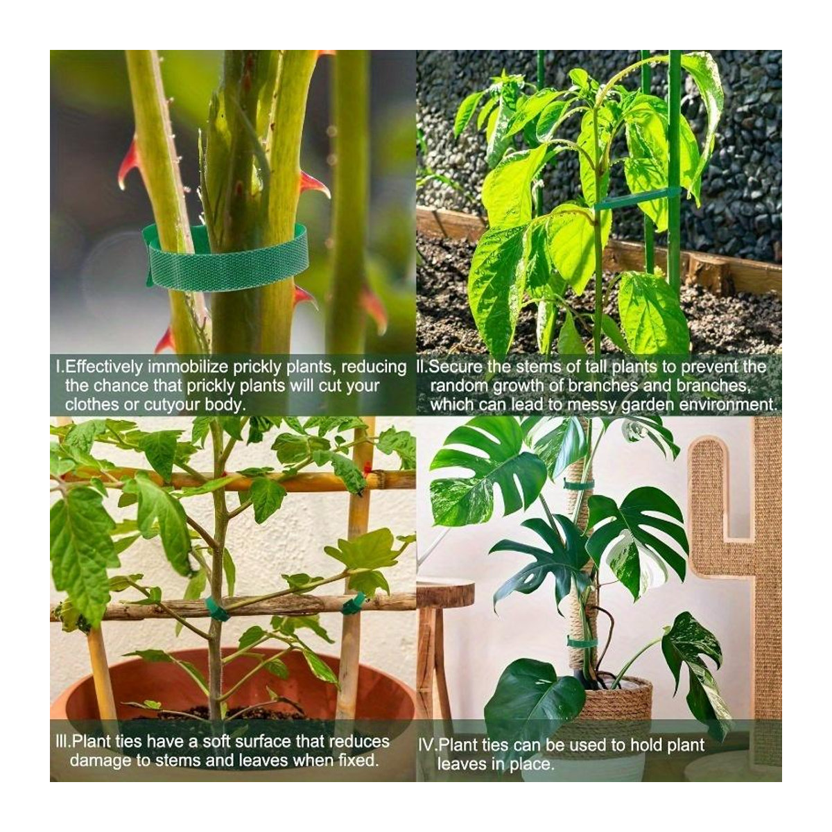 100 Stück SZwatch Wiederverwendbare Nylon Pflanzenbinder mit Klettverschluss, Wetterfeste Gartenbänder für Kletterpflanzen und Gewächshaus - Bild 7
