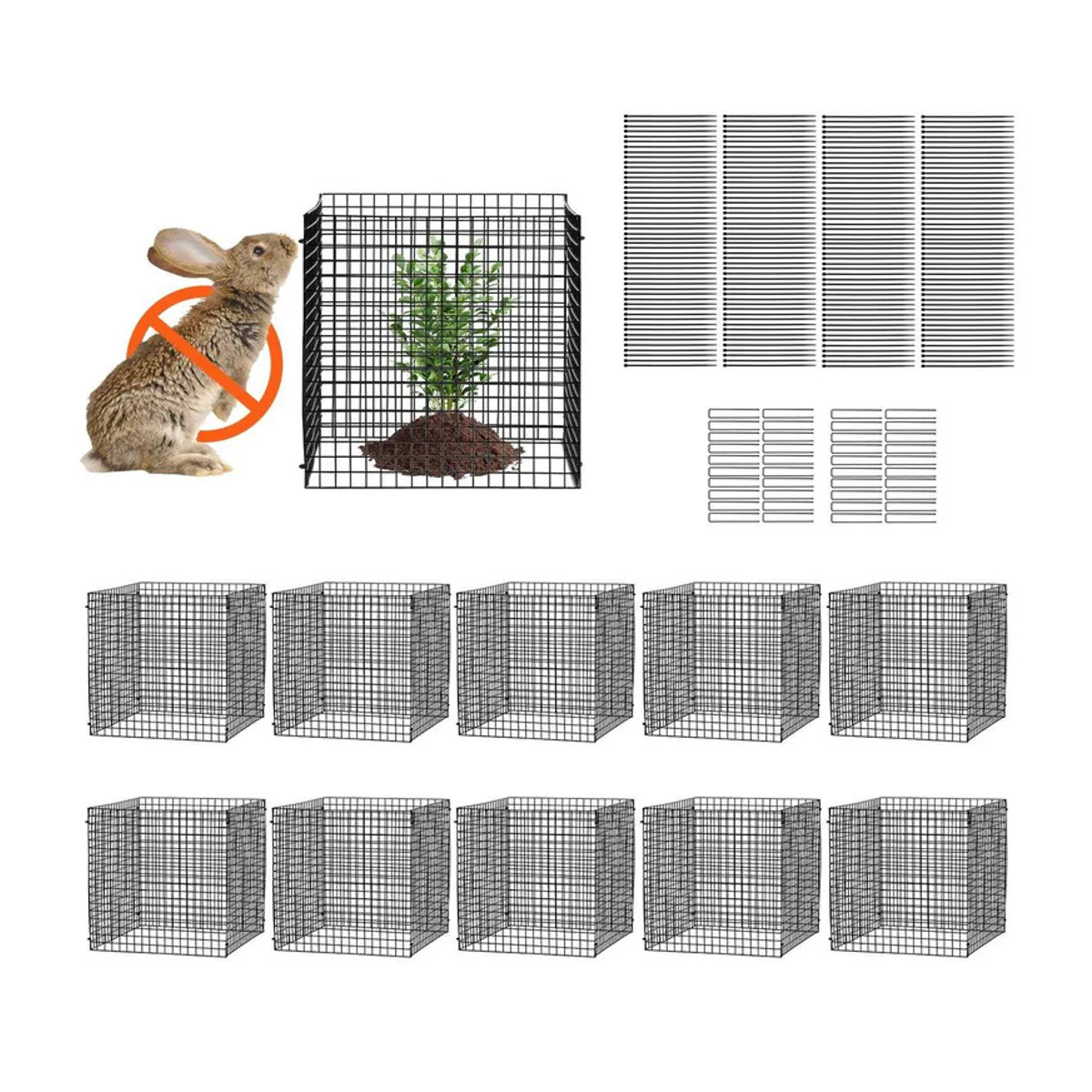 10er-Pack Pflanzenschutz Käfige von Buying Solutions, MB zum Schutz von Gemüse, B/B: 30,5 x 30,5 cm - Bild 7