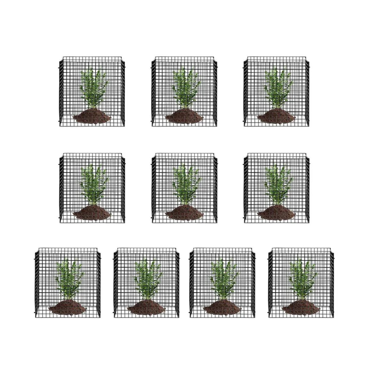 10er-Pack Pflanzenschutz Käfige von Buying Solutions, MB zum Schutz von Gemüse, B/B: 30,5 x 30,5 cm - Bild 10