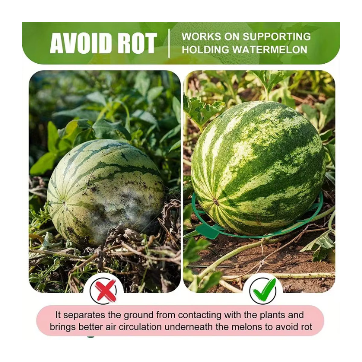 10er Set Melonenwiege und Kürbisstütze zur Unterstützung von Erdbeeren und Wassermelonen mit einer Tragkraft von bis zu 3,6 kg - Bild 3